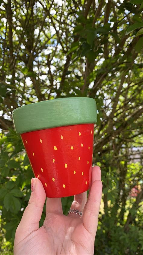 Strawberry Terracotta Plant Pot Etsy