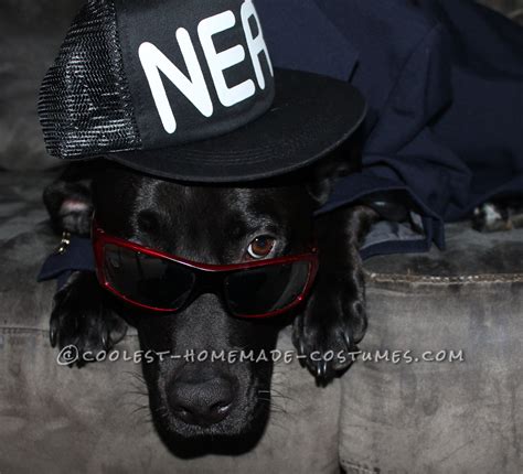 Gangster Dog Costume