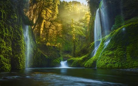 Forest Waterfall Hd Wallpaper Background Image