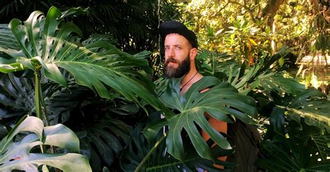 It has been introduced to many tropical areas, and has become a mildly invasive species in hawaii, seychelles, ascension island and the society islands. F5 - Monstera kontra bobas, czyli Millenialsi kupują ...