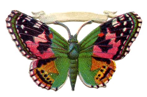 Free Victorian Butterfly Cliparts Download Free Clip Art
