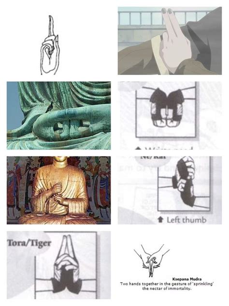 The Origin Of Hand Seals Naruto Amino