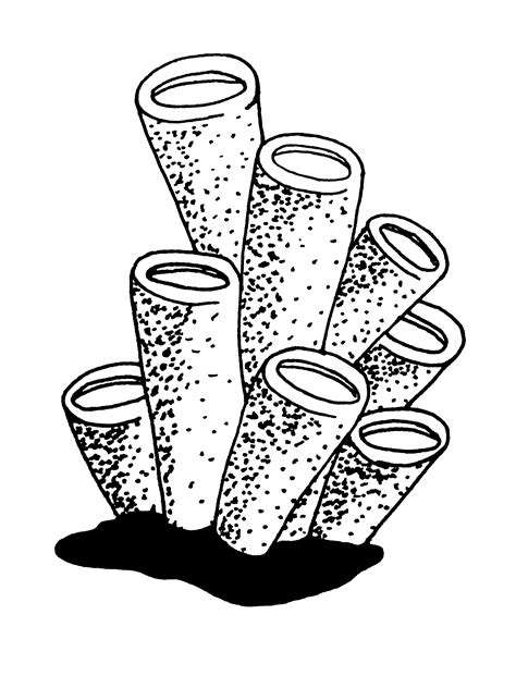 Search through 623,989 free printable colorings at getcolorings. Free Sea Coral Cliparts, Download Free Clip Art, Free Clip ...