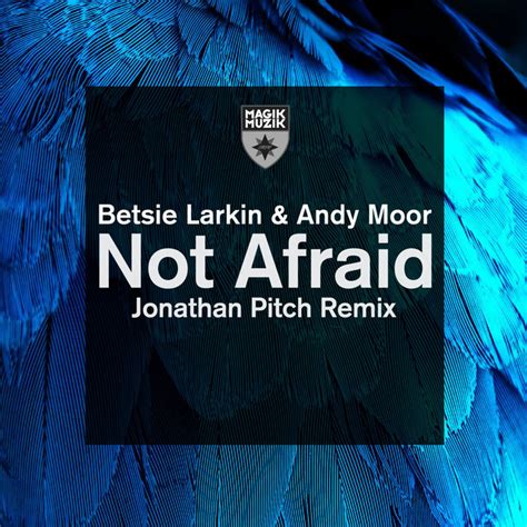 Not Afraid Single By Betsie Larkin Spotify