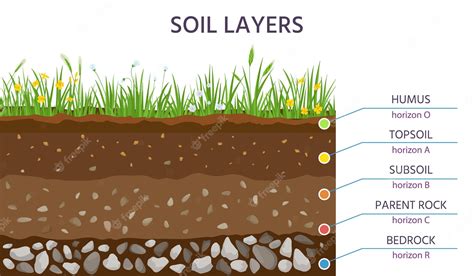 Premium Vector Soil Structure Layers Ground Cross Section Education