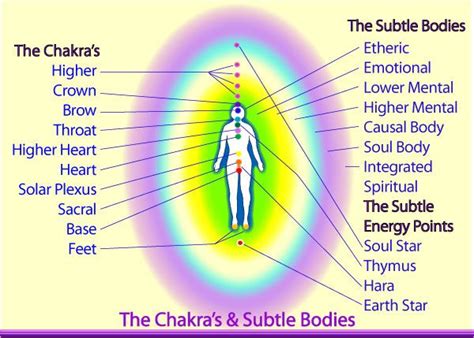 The Human Energy System Your Aura Chakras And Subtle Bodies Chakra
