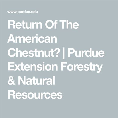 return of the american chestnut purdue extension forestry and natural resources purdue