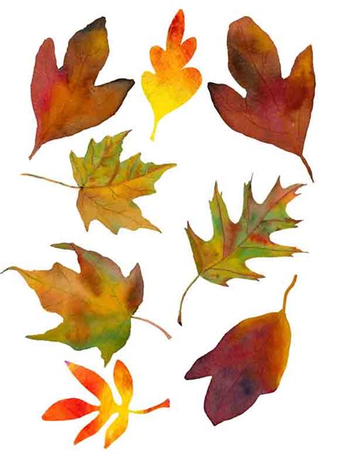 Fall Leaves Printable Printable Word Searches