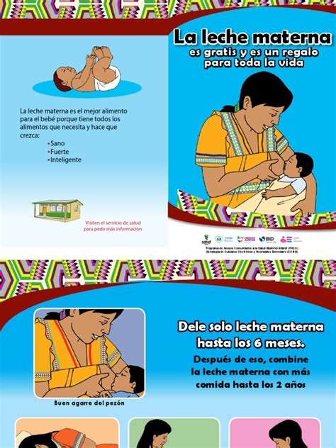 folleto lactancia materna nb pdf