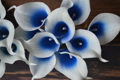 Picasso Royal Navy Blue Calla Lilies Real Touch Flowers Diy Etsy