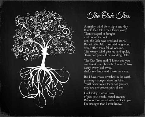 Old Oak Tree Poem Filiberto Calabrese