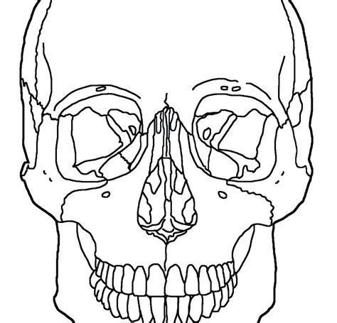 Skeleton Coloring Pages For Kids At