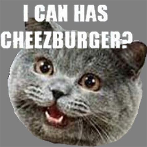 I Can Has Cheezburger Team Fortress 2 Sprays