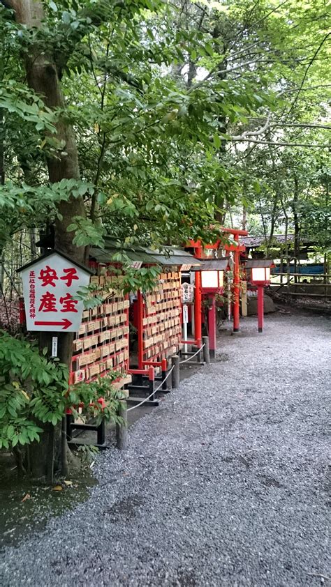 Bamboo Forest And Gorgeous Walks Arashiyama Kyoto Visions Of Travel