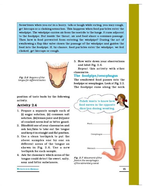 Ncert Book Class 7 Science Chapter 2 Nutrition In Animals Pdf