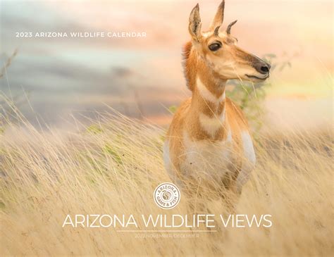 Azgfd Announces Winners Of Arizona Wildlife Photo Contest