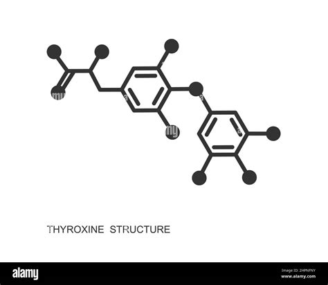 Glándula Tiroides Y Hormona Tiroidea Molécula T4 Imágenes De Stock En Blanco Y Negro Alamy
