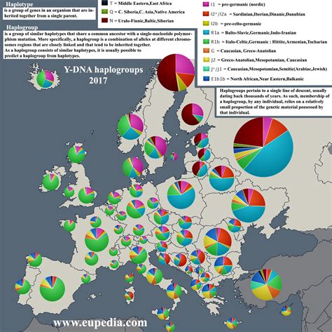 Dominant Y Dna Haplogroups In Europe And Middle East Vivid Maps