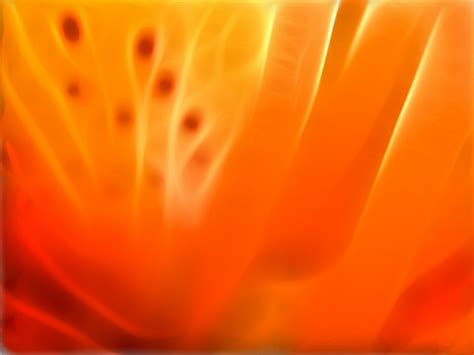 Check out the huge selection of. Orange fire abstact PPT Backgrounds, Orange fire abstact ...