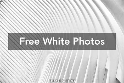 500 Interesting White Photos · Pexels · Free Stock Photos