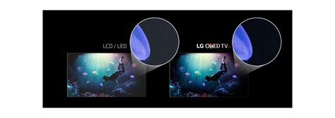 Is An Oled Tv Worth It Oled Vs Lcd Comparison