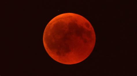 Yurima celdrán 19 may 4 min la luna. Habrá eclipse lunar, superluna y luna de sangre ...