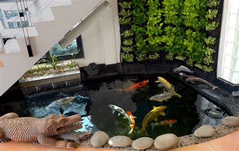 20 questions to ask yourself before building a koi pond. Is My Home Suitable For A Koi Pond? Get Some Answers Here.