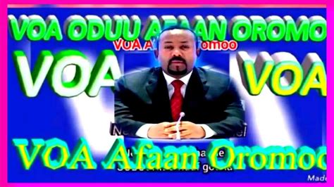 Oduu Owiituu Voa Afaan Oromoo Oc262021 Youtube