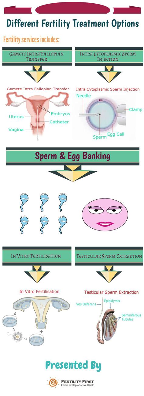 Different Fertility Treatment Options Visually