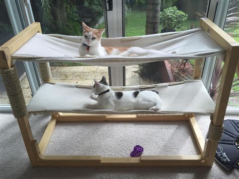 Build Bunk Bed Hammocks For Your Cats Make Diy Cat Hammock Animal