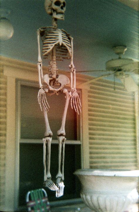 Hanging Skeleton Pictures, Photos, and Images for Facebook, Tumblr 