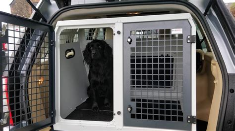 Db11 Dog Transport Cage Dog Box Uk