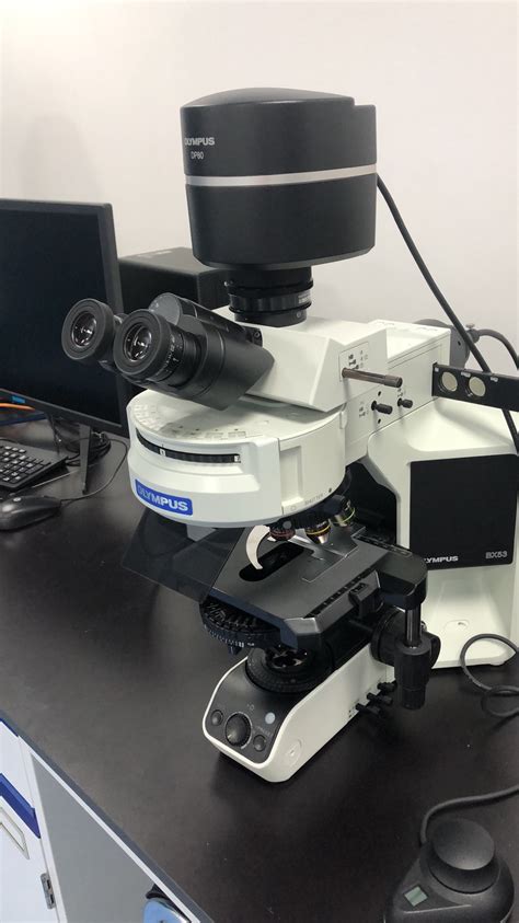 Olympus Bx53正置荧光显微镜 仪器详情