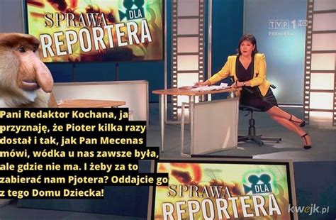 Sprawa dla Reportera Ministerstwo śmiesznych obrazków KWEJK pl