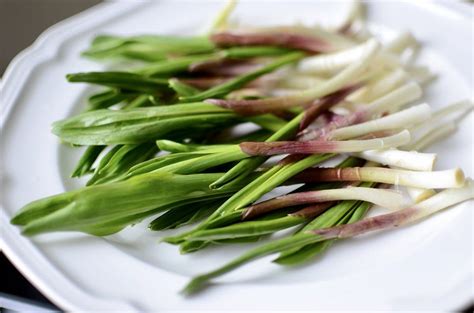 If you're just using your microwave for reheating leftovers, you're missing out. Cooking Ramps | Wild leek recipe, Ramp recipe, How to cook leeks
