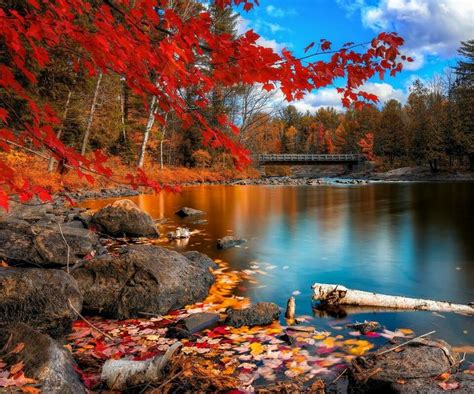 Lake View Of Falls Changing Colors Falls Beautiful Colors And Scenery