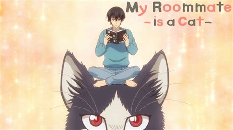 My Roommate Is A Cat Anime Review