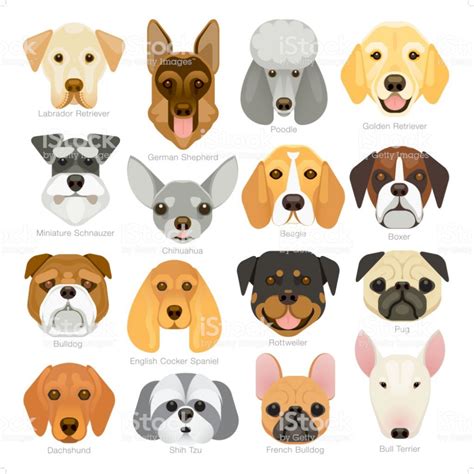 Simple Graphic Popular Dog Breeds Icon Set Royalty Free Simple Graphic