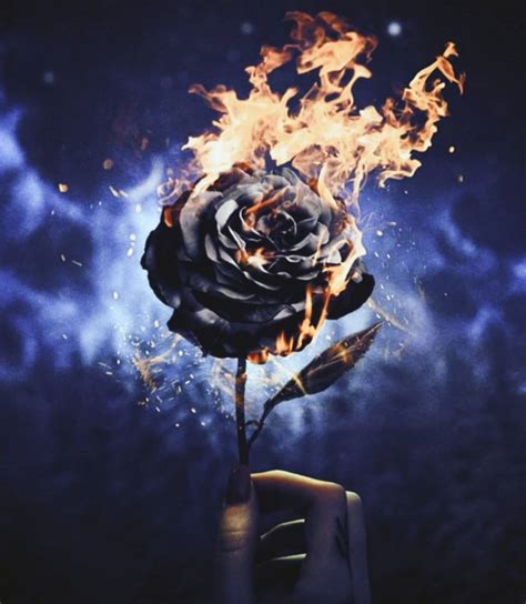 Burning Rose Wallpapers Top Free Burning Rose Backgrounds Wallpaperaccess