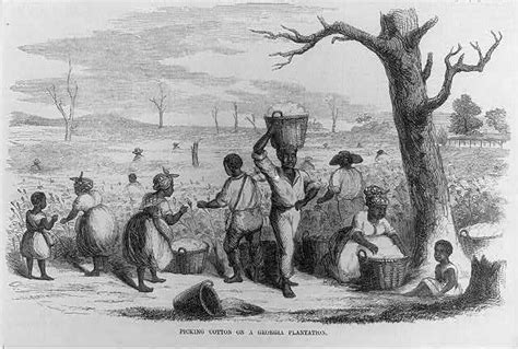 Things About The Field Workers During Slavery That You May Not Know
