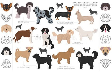 What Is A Hybrid Dog Breed