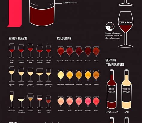 A Beginners Guide To Wine Infographic Vineria Allamarone
