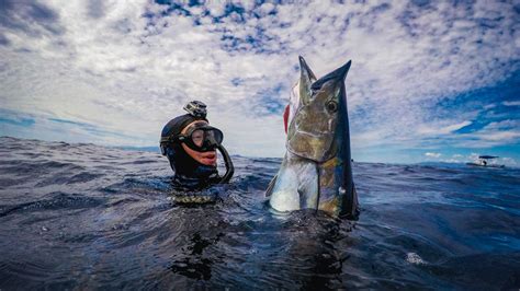 August Wahoo Marlin Mahi And Hurricane Baja Fishing Report Baco