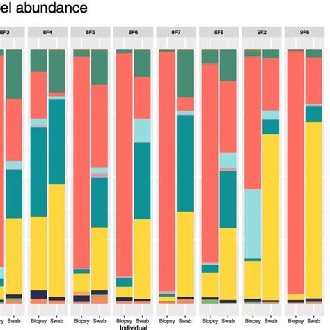 Stacked Bar Plot Of Class Level Taxa Stacked Bar Figure Illustrating Download Scientific