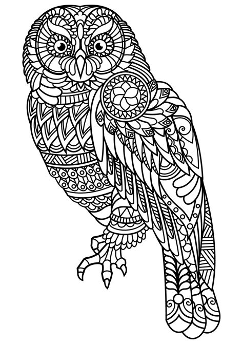 One of the most commonly used patterns on owl adult coloring pages is the mandala. Owls for kids - Owls Kids Coloring Pages