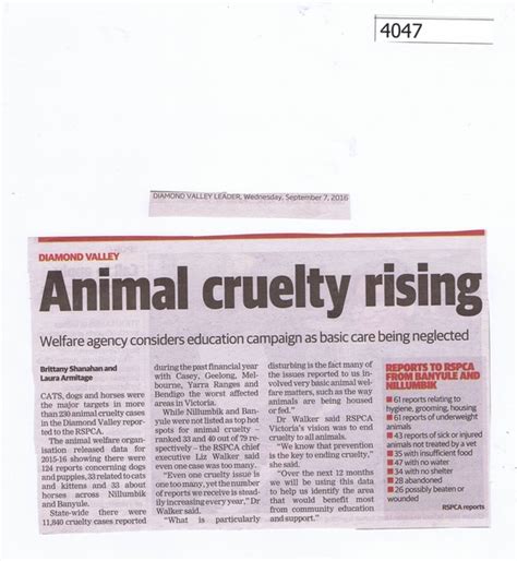 Newspaper Clipping Diamond Valley Leader Animal Cruelty Rising 0709