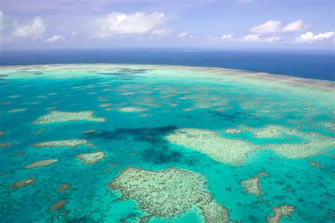 Coral Reef Surveys Take To The Skies