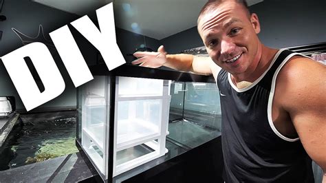 September 14, 2019may 7, 2018 by joshua@themandaringarden. HOW TO: Build a simple aquarium sump | The King of DIY - YouTube