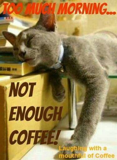 Too Much Morning Not Enough Coffee Coffee Quotes Funny Funny