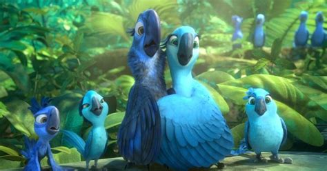 The Real Life Blue Parrot From ‘rio Is Now Officially Extinct In The